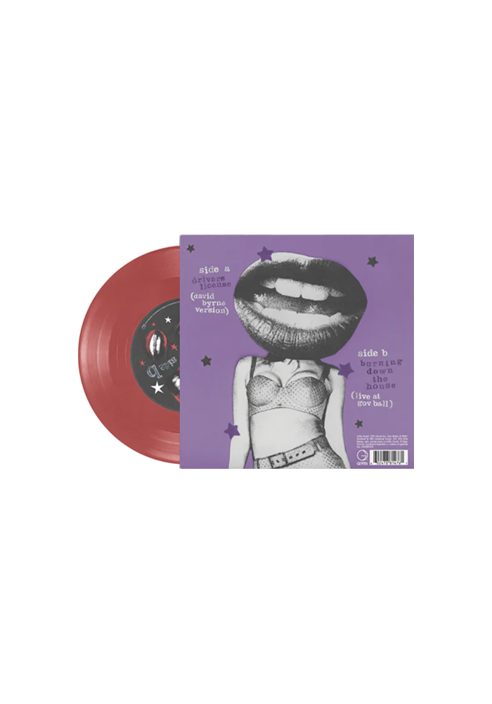 drivers license / burning down the house 7" vinyl