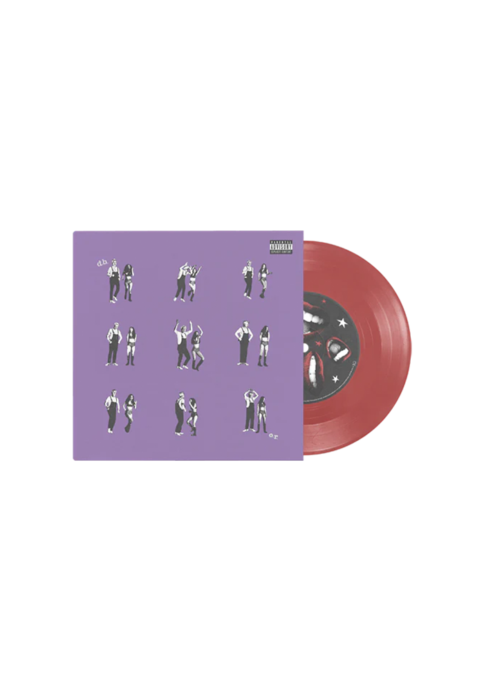 drivers license / burning down the house 7" vinyl