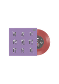 drivers license / burning down the house 7" vinyl