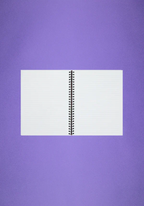 (no) bad idea(s) right? notebook